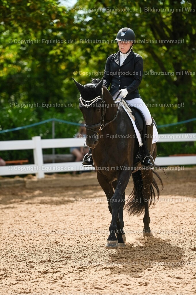 20230715_07_Dressurpferdeprfg. Kl.L_0148 | equistock