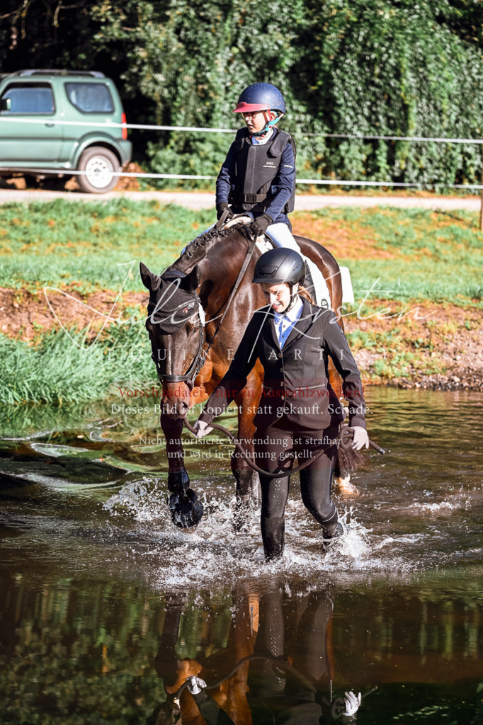 DSC_0254 | Pferde- und Turnierfotografie in Westsachsen. Pferdeportraits, Auftragszeichnungen und intuitive Kunst.