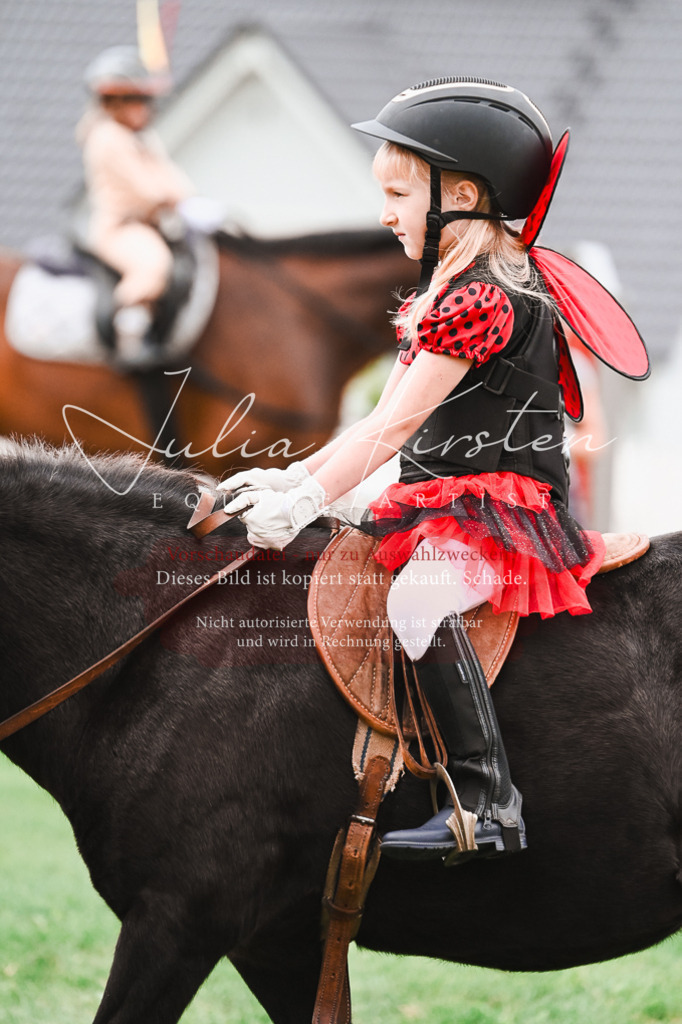 DSC_7540 | Pferde- und Turnierfotografie in Westsachsen. Pferdeportraits, Auftragszeichnungen und intuitive Kunst.