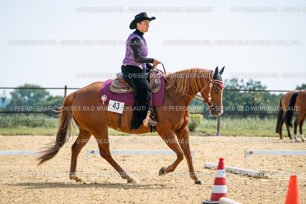 DSC00273 | Pferdegrafie