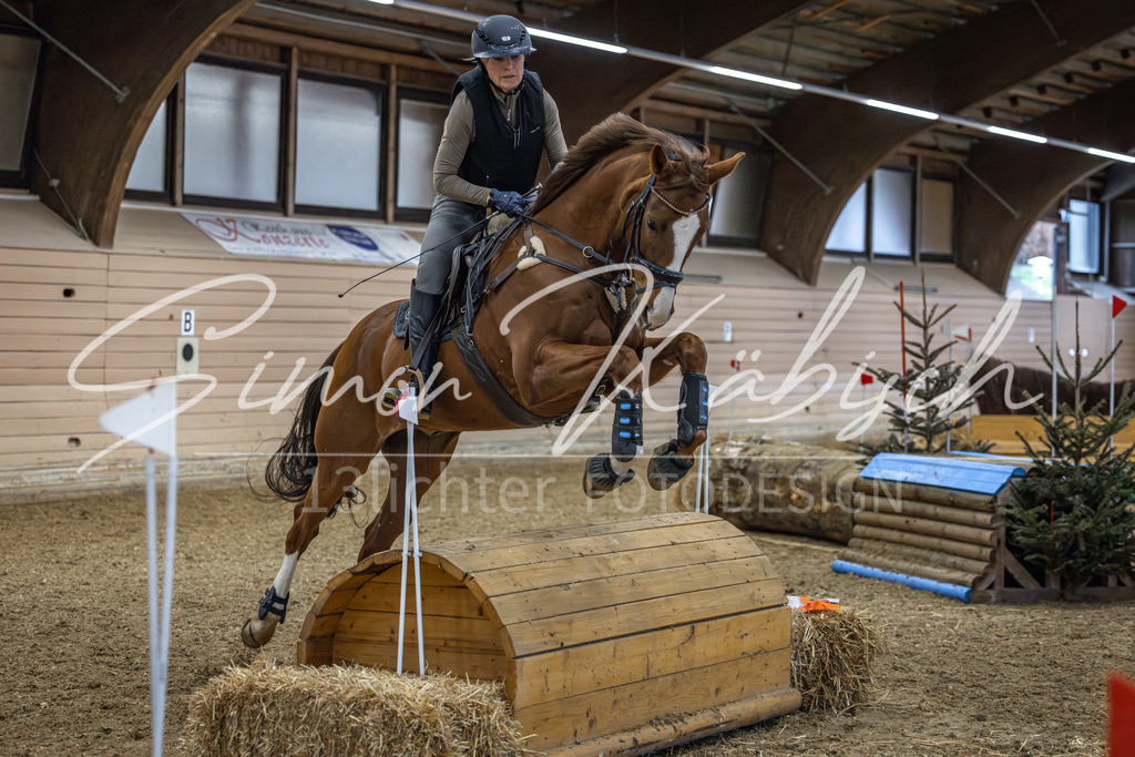 20260222-_3LI1281 | Tierfotografie Pferde, Hunde, Katzen, Haustiere.
Turnierfotografie Reitturniere, Reiten, Springreiten, Dressur in Hanau, dem Main-Kinzig-Kreis und dem Rhein-Main- Gebiet um Frankfurt