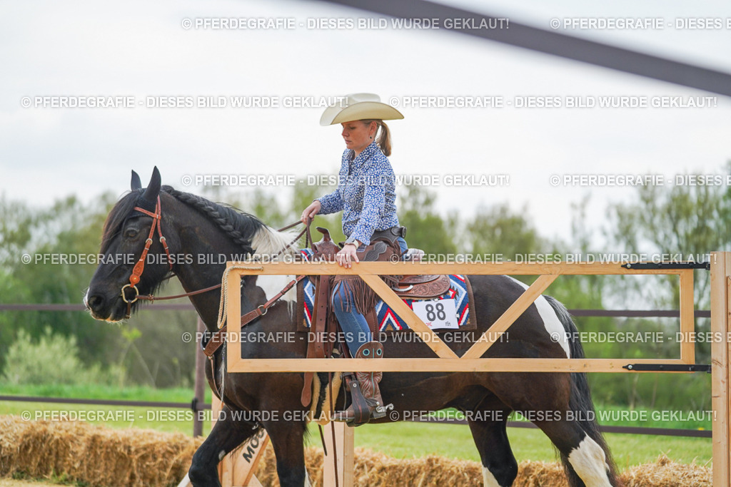 DSC08013 | Pferdegrafie