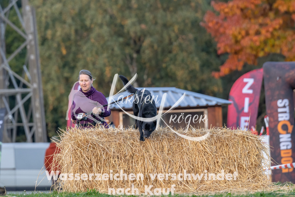 0849_ZZ91511-Bearbeitet | kk-dogfotos