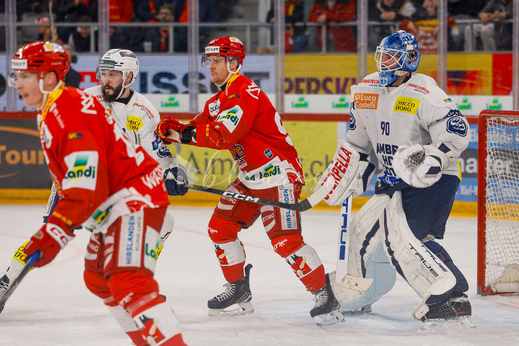 EHCB vs HCAP 20260115_wb-4688 | Sportbilder, Sportfotograf, Hochzeits- und Eventfotografin, Flugshows, Portraits und Tiershooting, Aviation, Downhill, Nationalleague, Swissleague, International