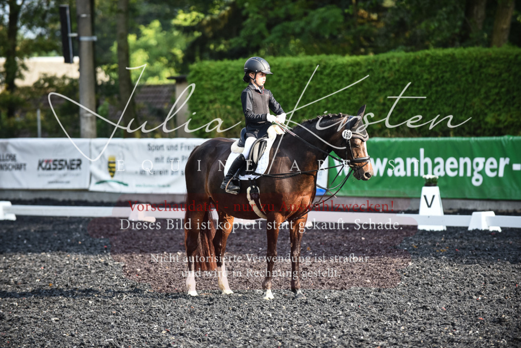 DSC_3508 | Pferde- und Turnierfotografie in Westsachsen. Pferdeportraits, Auftragszeichnungen und intuitive Kunst.