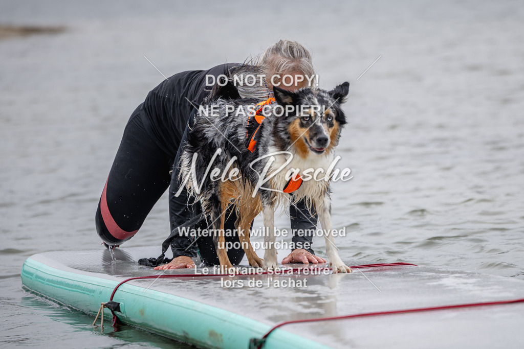 nelerasche_Hulsbeek_Sa1330-1430_462 | nelerasche