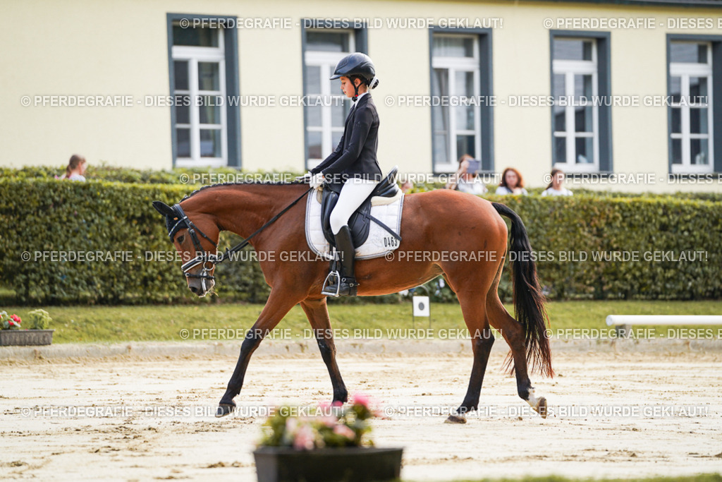 DSC05435 | Pferdegrafie