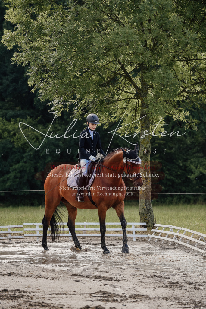 DSC_8123 | Pferde- und Turnierfotografie in Westsachsen. Pferdeportraits, Auftragszeichnungen und intuitive Kunst.
