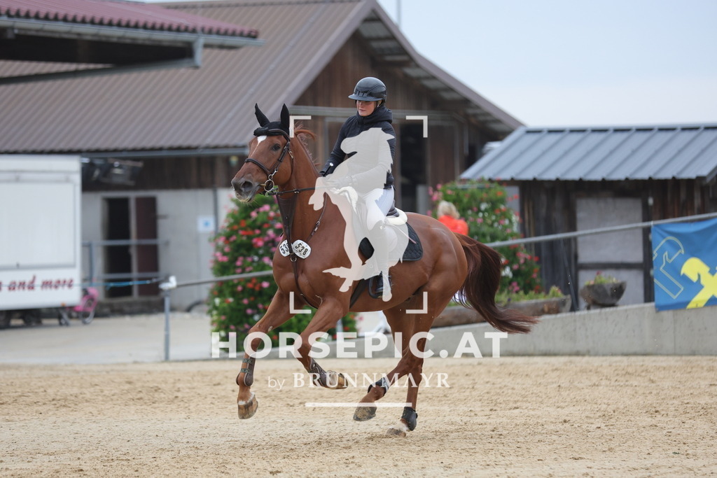0P6A6402 | Willkommen bei Brunnmayr - Design & Fotografie – Ihrem Spezialisten für Reitturniere und Pferdeveranstaltungen in Oberösterreich, Salzburg und Bayern! Seit über 17 Jahren sind wir leidenschaftlich dabei.