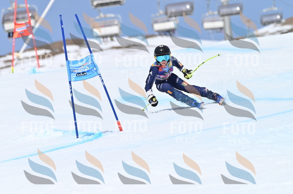 BGV_2087 | holidayphoto