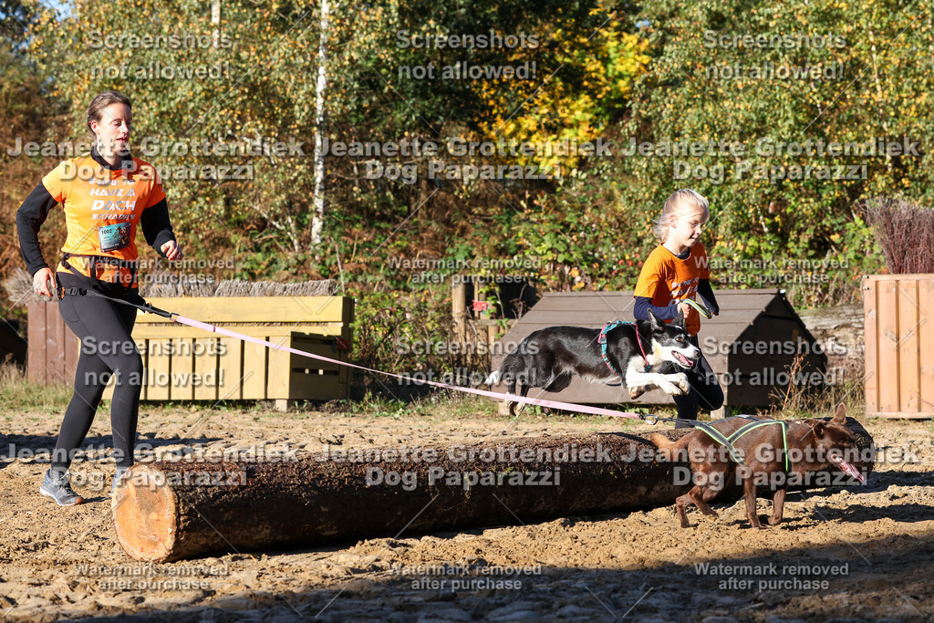 Dog Paparazzi - Strongdog 10-25-1408 | Dog Paparazzi Jeanette Grottendiek Fotografie & Videografie - Realisiert mit Pictrs.com