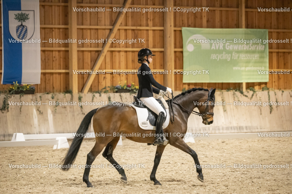 _D5A0565 | Emotionale Pferde- & People-Fotografie rund um Heidelberg, Leimen & Umgebung. Natürliche Fotos von Pferd, Mensch & Familie. Jetzt Termin sichern!