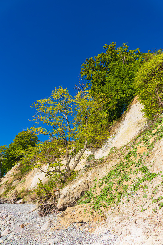 Kreidefelsen an der Küste der Ostsee auf der Insel Rügen | Kreidefelsen an der Küste der Ostsee auf der Insel Rügen.