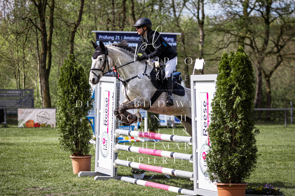 IMGT5453 | pl-fotografie