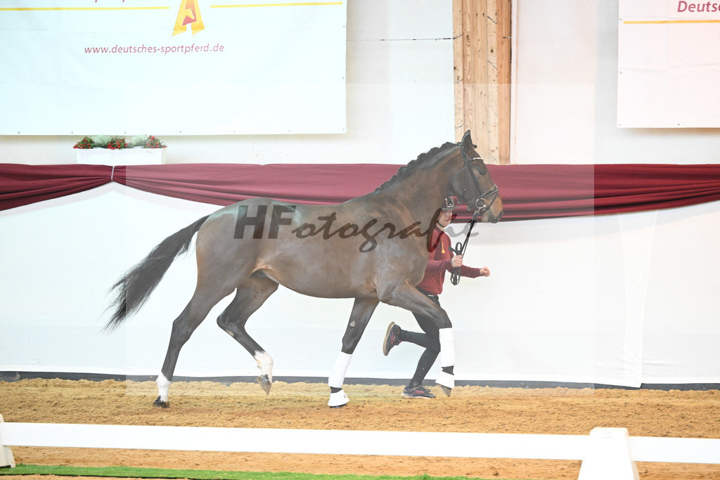 Kat-Nr. 43 v. Mykonos_Sommer_66220927 | hf-fotografie - Realisiert mit Pictrs.com