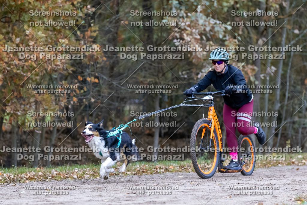 Dog Paparazzi - SD CaniX Championship 2025-186 | Dog Paparazzi Jeanette Grottendiek Fotografie & Videografie - Realisiert mit Pictrs.com