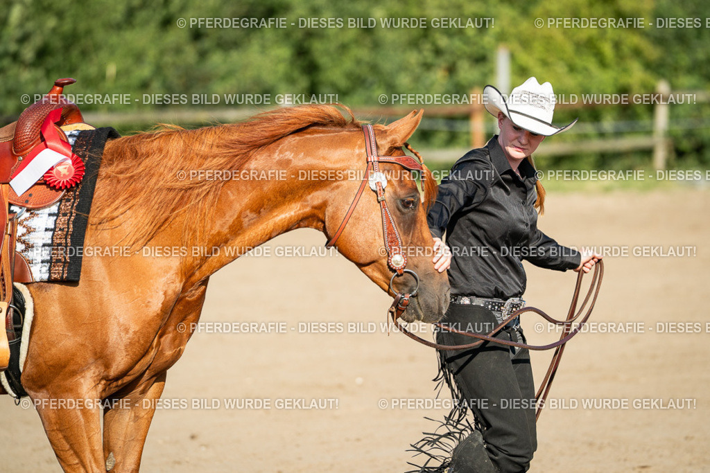 DSC05634 | Pferdegrafie