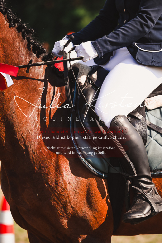 DSC_7395 | Pferde- und Turnierfotografie in Westsachsen. Pferdeportraits, Auftragszeichnungen und intuitive Kunst.