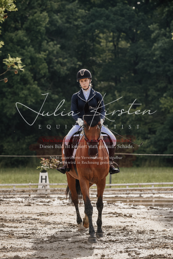 DSC_8444 | Pferde- und Turnierfotografie in Westsachsen. Pferdeportraits, Auftragszeichnungen und intuitive Kunst.