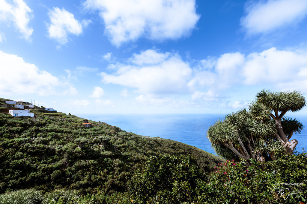 20250321-151305 LA PALMA_165-1 | Herzlich willkommen auf meiner Seite! Ich bin Elke Wallnisch, Deine Fotografin für lichtstarke Momente. Der Name steht für alles, was mich mit der Fotografie verbindet: Das Licht und seine machtvolle Wirkung auf eine Situation oder unsere Stimmung - Realisiert mit Pictrs.com