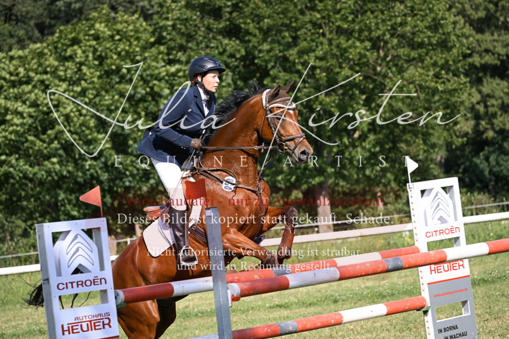 DSC_1249 | Pferde- und Turnierfotografie in Westsachsen. Pferdeportraits, Auftragszeichnungen und intuitive Kunst.