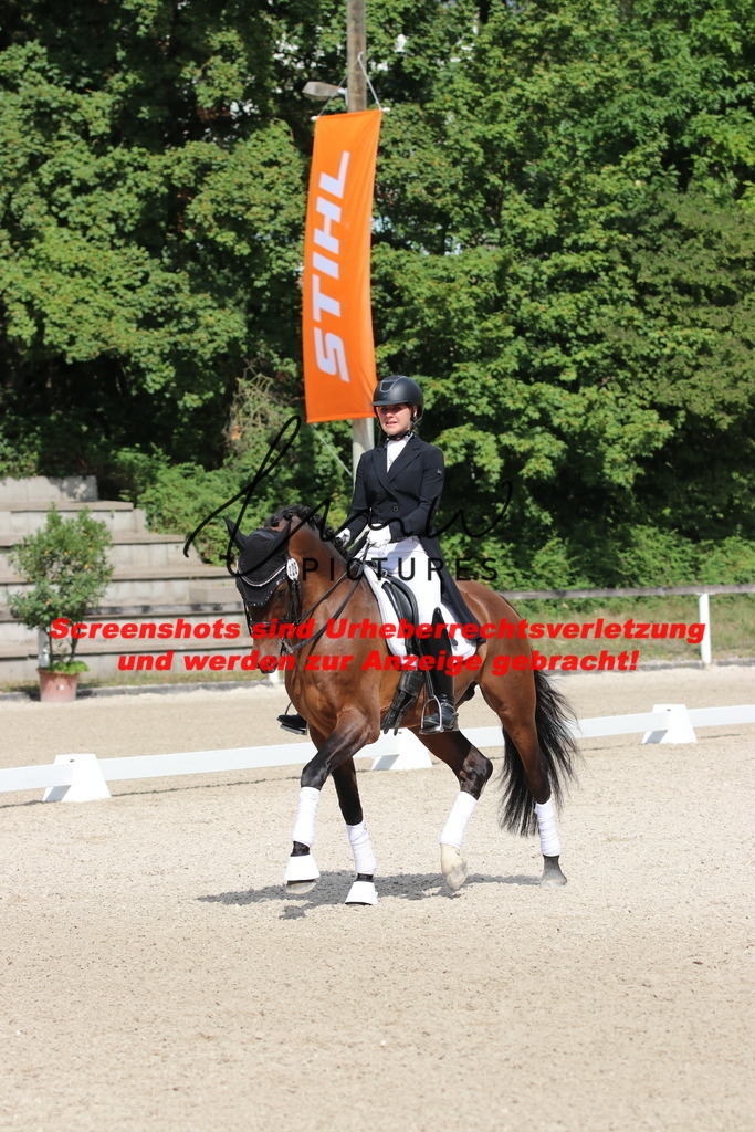 IMG_1319 | lmwpictures - Realisiert mit Pictrs.com