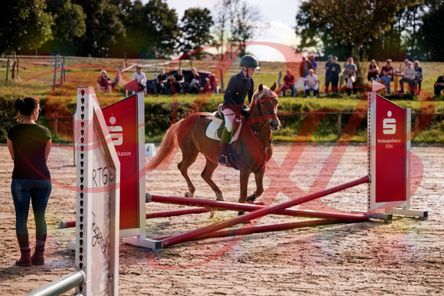 2026_10_03_Siefer-Hof_144650_Z81_22934370 | Professionelle Reitsport-, Turnier- und Eventfotografie von Robert Broda. Galerien mit ausgewählten und bearbeiteten Bildern direkt online ansehen und bestellen.