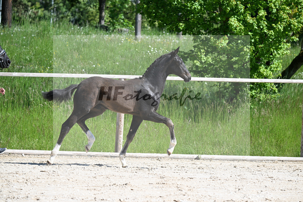 Escaneno x Negro_HF_Eder_10250063 | hf-fotografie - Realizzato con Pictrs.com