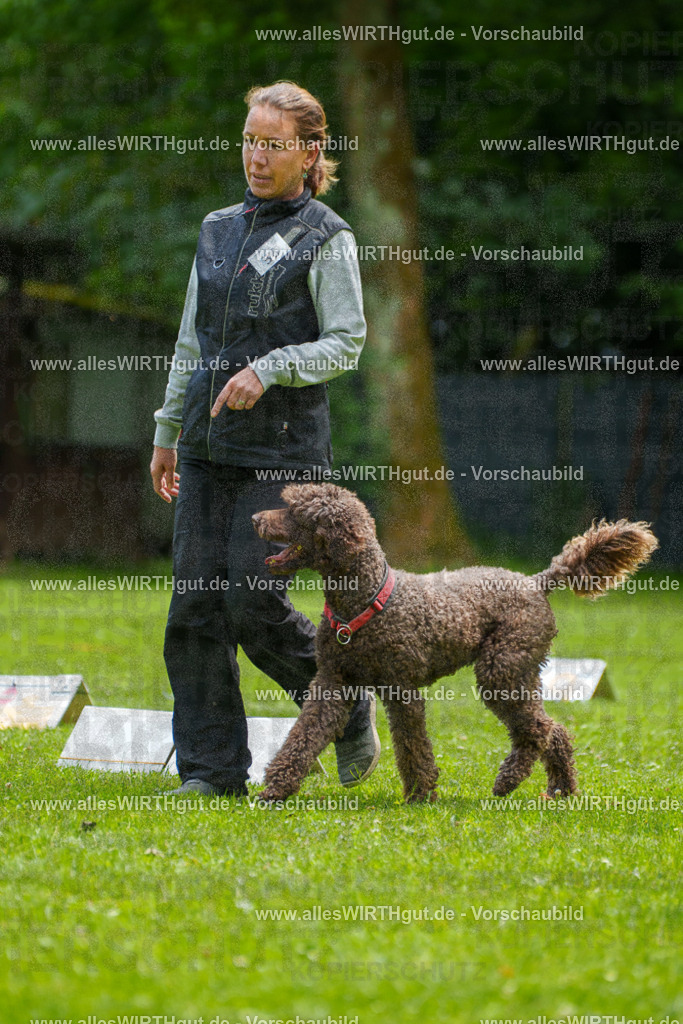 @allesWIRTHgut_Tierfotografie - www.allesWIRTHgut.de - 7R501151 | Professionelle Tierfotografie in Mönchengladbach von Daniel Wirth (allesWIRTHgut). Liebevolle & natürliche Bilder von Hunden & Katzen für unvergessliche Erinnerungen.