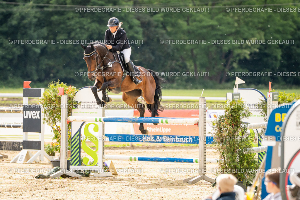 DSC05968 | Pferdegrafie