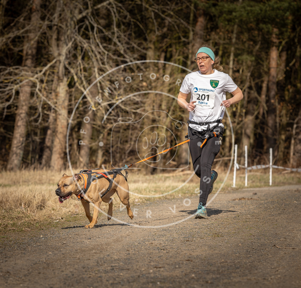 DV3A5956 | Hundefotografie, Tierfotograf, Pfotenfotografie, Fotoshooting Hund, Hunde Portrait, Hundesport, Hundeportraits, Heideshooting, Hunde, Sportfotograf, Hundefotograf, Turnierhundsport, THS,  - Realisiert mit Pictrs.com