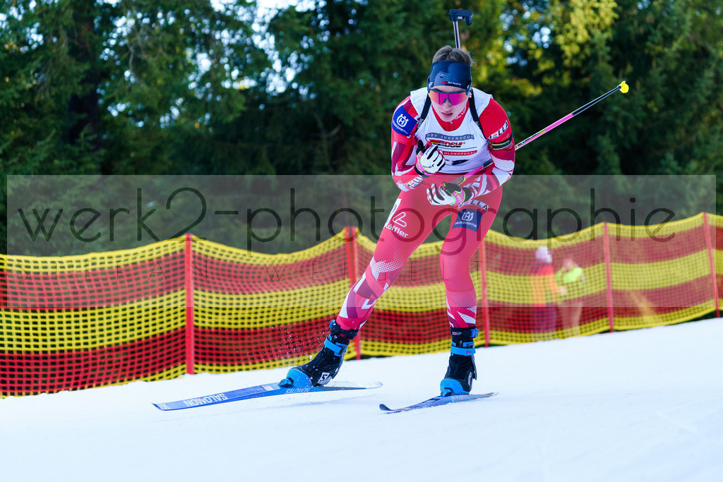 DP Oberwiesenthal | Alpencup/DP Deutschlandpokal in Oberwiesenthal am 15.-17.12.2023