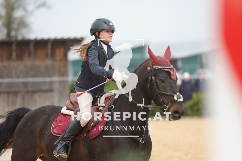 0P6A8675 | Willkommen bei Brunnmayr - Design & Fotografie – Ihrem Spezialisten für Reitturniere und Pferdeveranstaltungen in Oberösterreich, Salzburg und Bayern! Seit über 17 Jahren sind wir leidenschaftlich dabei.