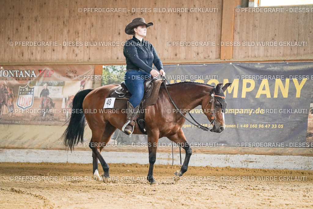 DSC05392 | Pferdegrafie