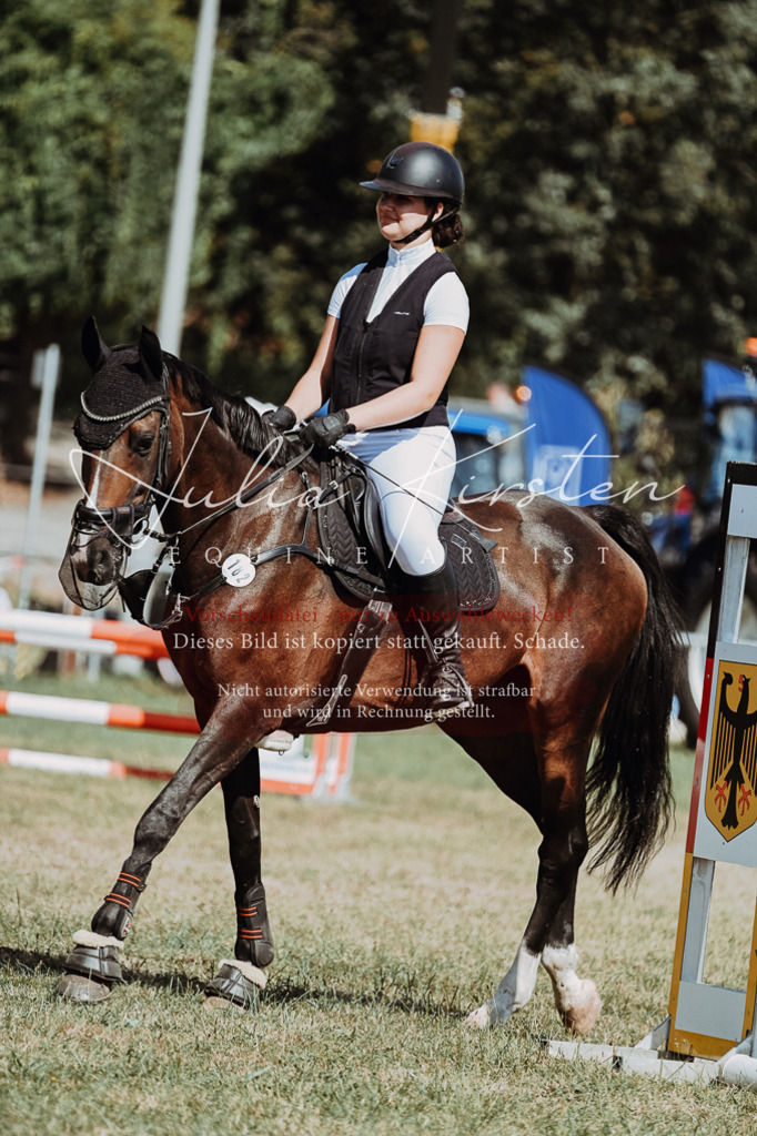 DSC_9850 | Pferde- und Turnierfotografie in Westsachsen. Pferdeportraits, Auftragszeichnungen und intuitive Kunst.