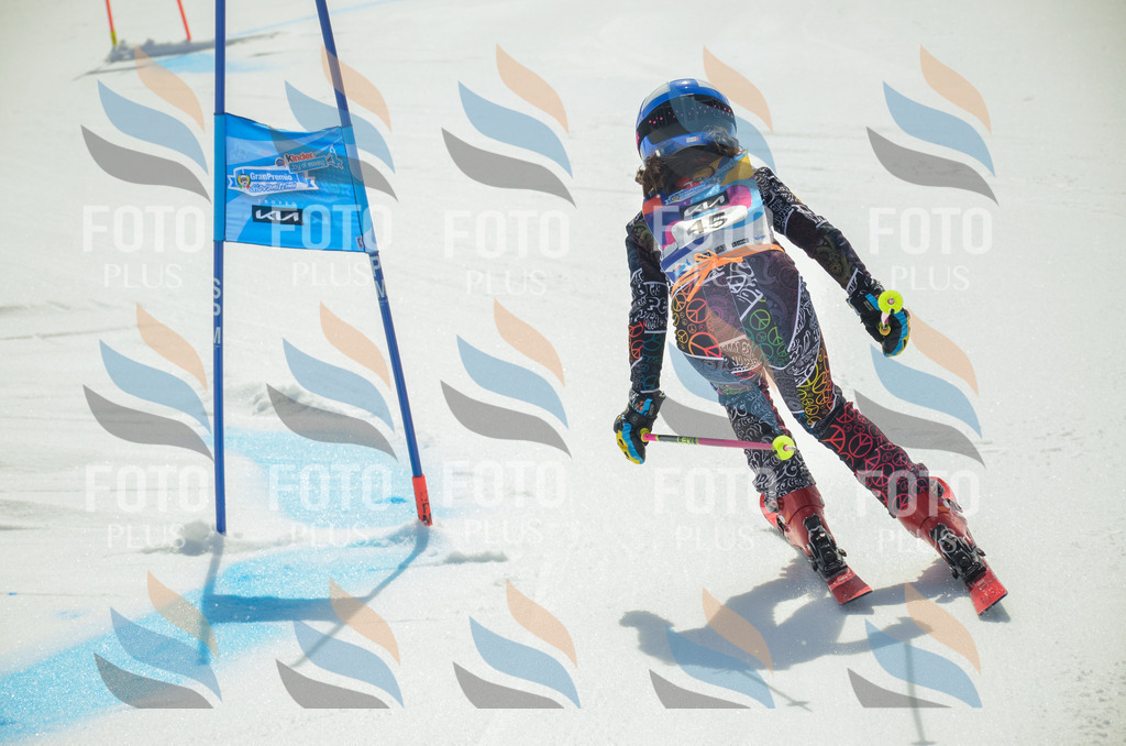 _ELE5118 | holidayphoto