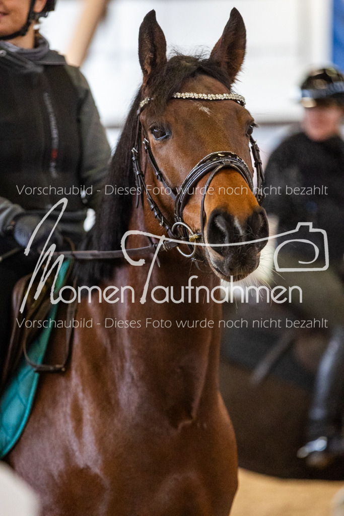 LehrgSth24-075 | MomenTaufnahmen Pferdesportfotos