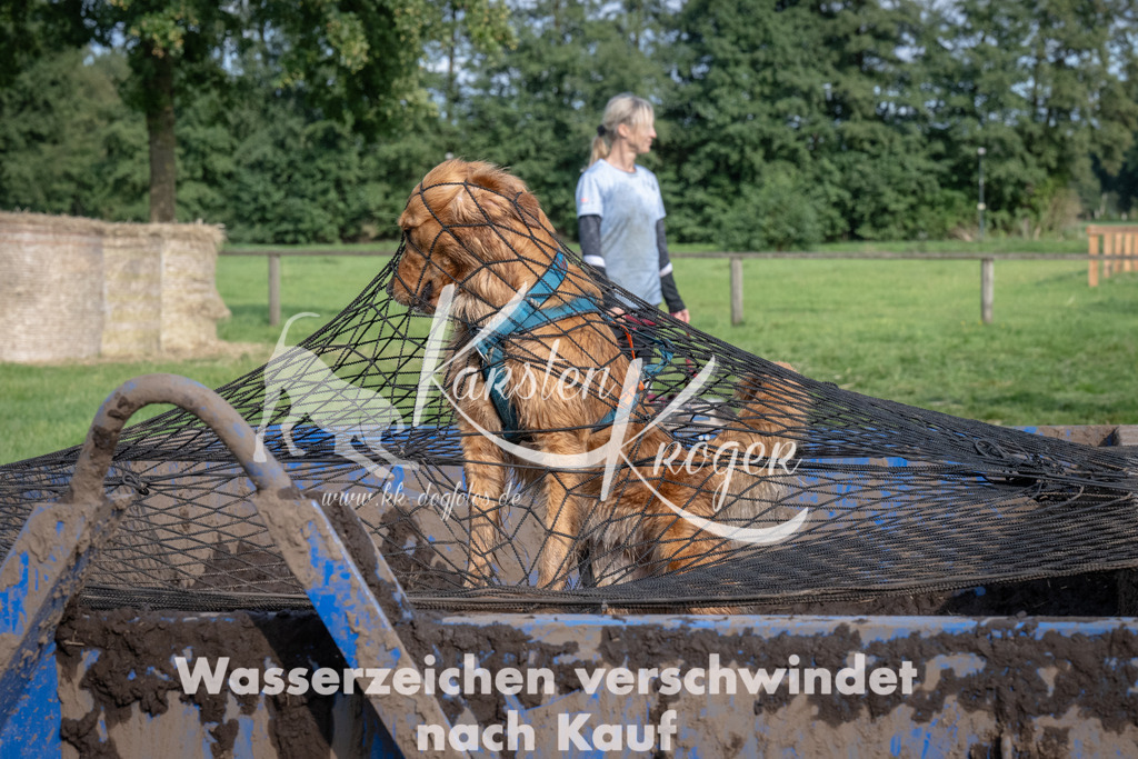 1610_ZZ91851 | kk-dogfotos