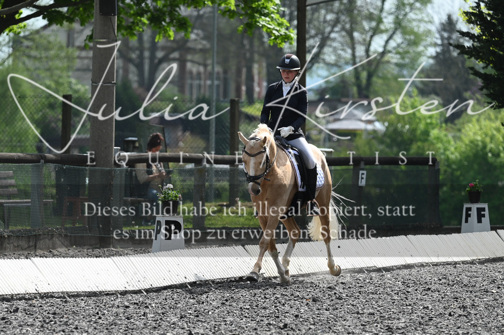 20230512_JK-Röhrsdorf-01-034 | Pferde- und Turnierfotografie in Westsachsen. Pferdeportraits, Auftragszeichnungen und intuitive Kunst.