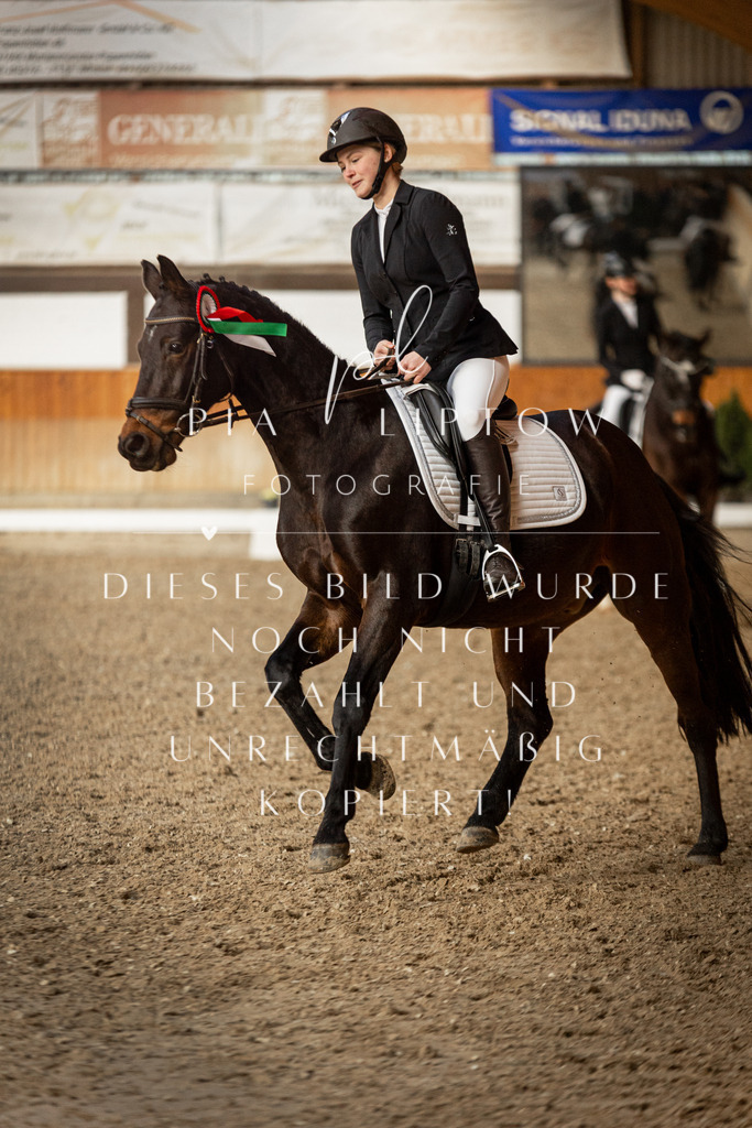 IMGT4075 | pl-fotografie