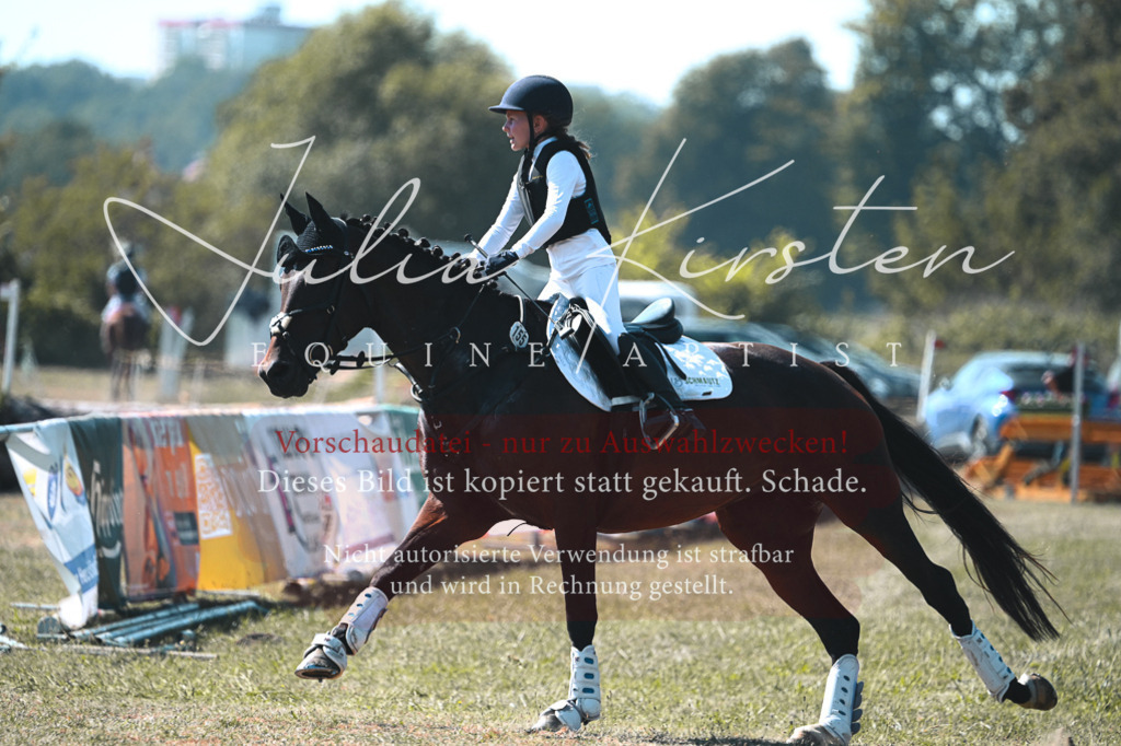 DSC_8006 | Pferde- und Turnierfotografie in Westsachsen. Pferdeportraits, Auftragszeichnungen und intuitive Kunst.