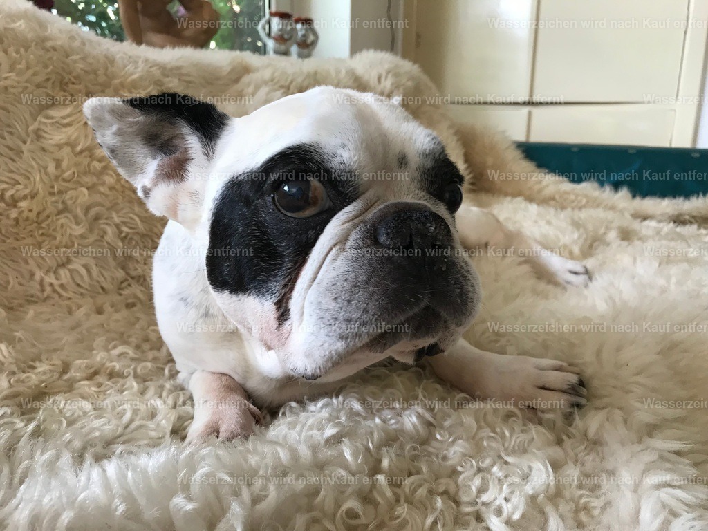 IMG_1362 | heikomoeller - Realisiert mit Pictrs.com