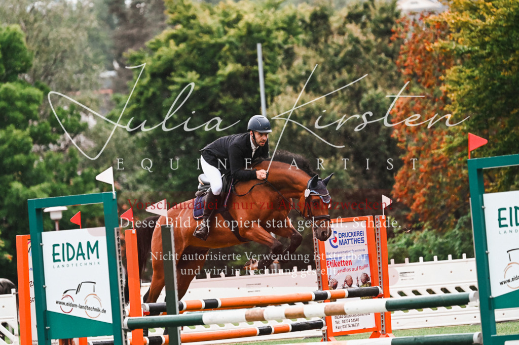 DSC_6341 | Pferde- und Turnierfotografie in Westsachsen. Pferdeportraits, Auftragszeichnungen und intuitive Kunst.