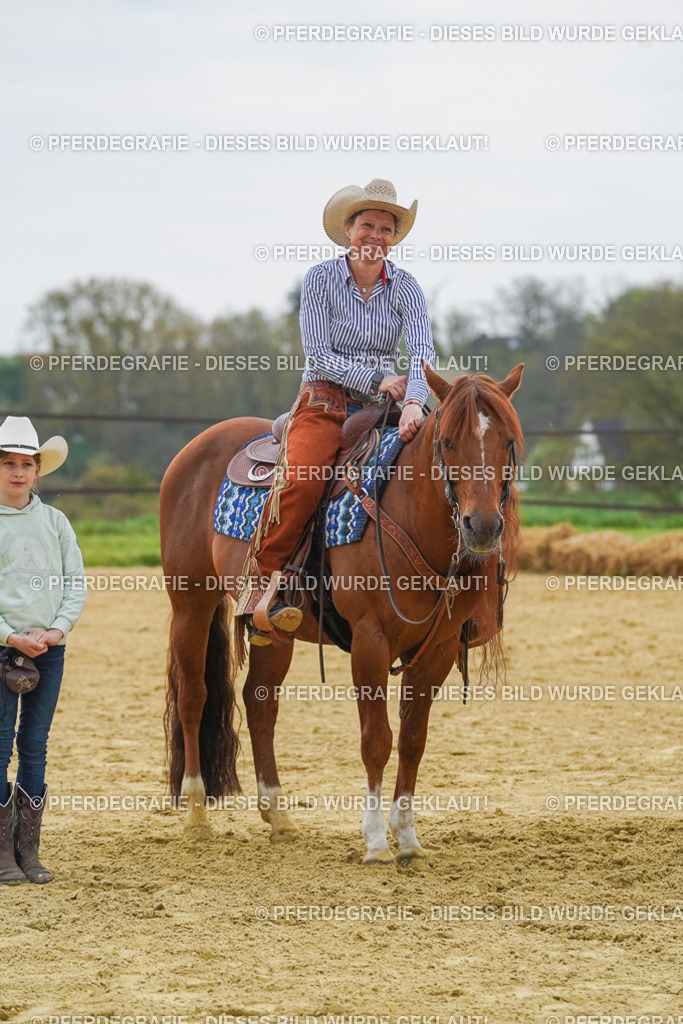 DSC07839 | Pferdegrafie