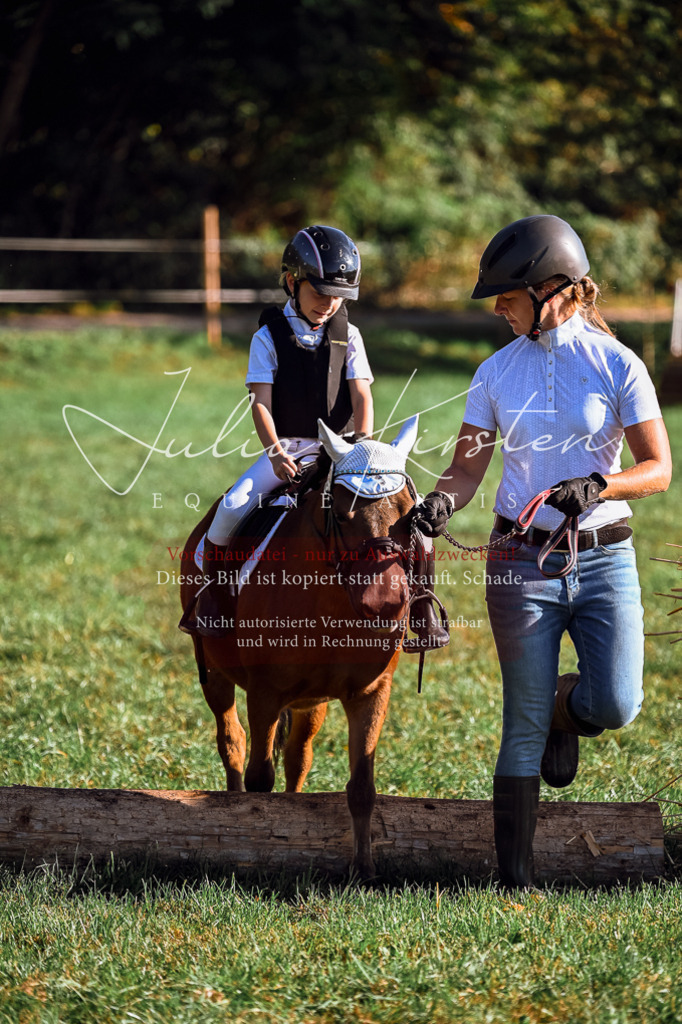 DSC_0459 | Pferde- und Turnierfotografie in Westsachsen. Pferdeportraits, Auftragszeichnungen und intuitive Kunst.