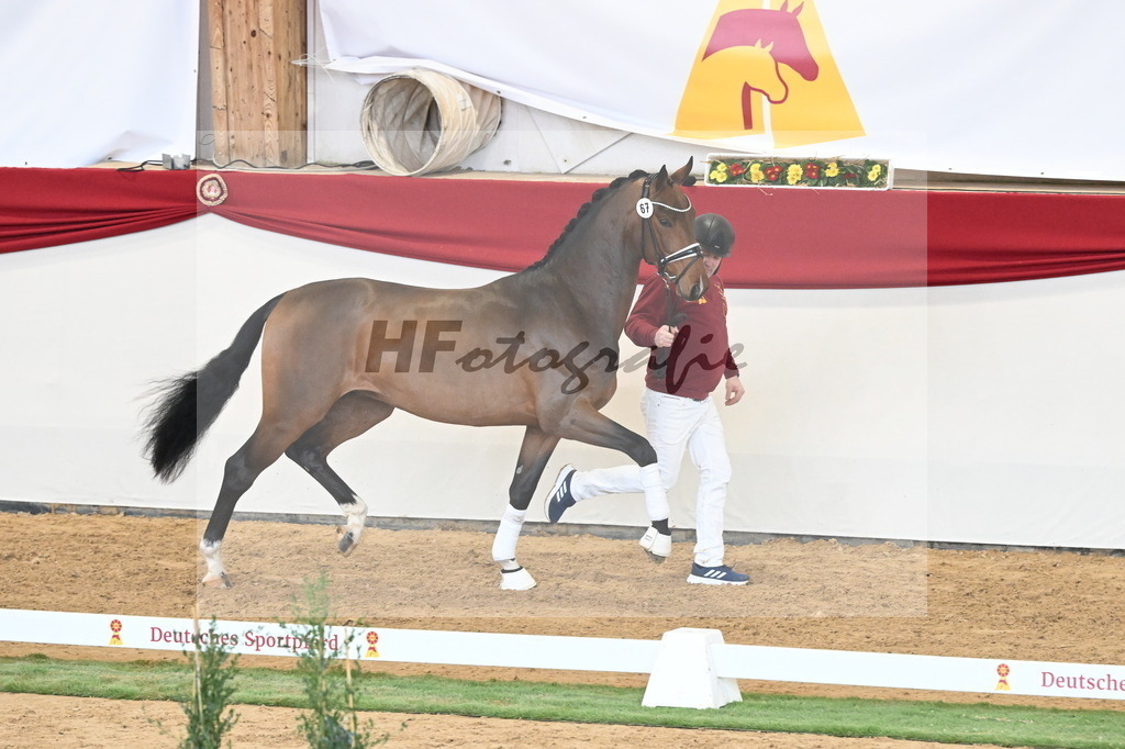 Kat.-Nr. 67 v. Fürstenball_Niehe_2250533 | hf-fotografie - Realisiert mit Pictrs.com