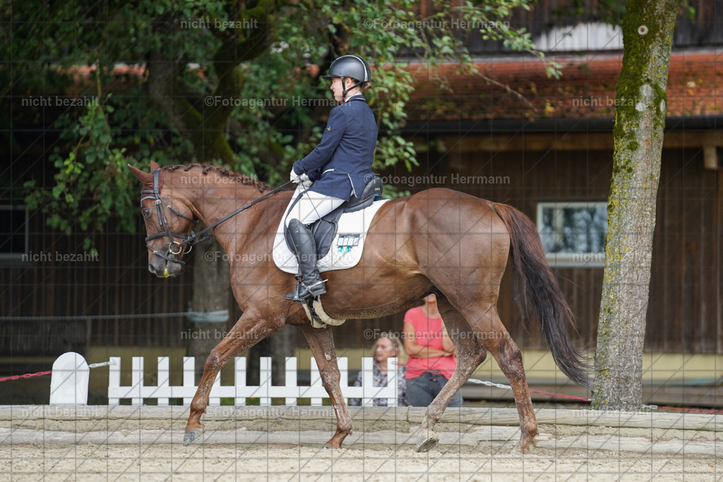 20230826-FAH05334 | Forstinning, 2023, Dressurturnier, Turniersportbilder, Turnierfotografen Bayern, Fotoagentur Herrmann, Reitsportfotografie, Turnierbilder