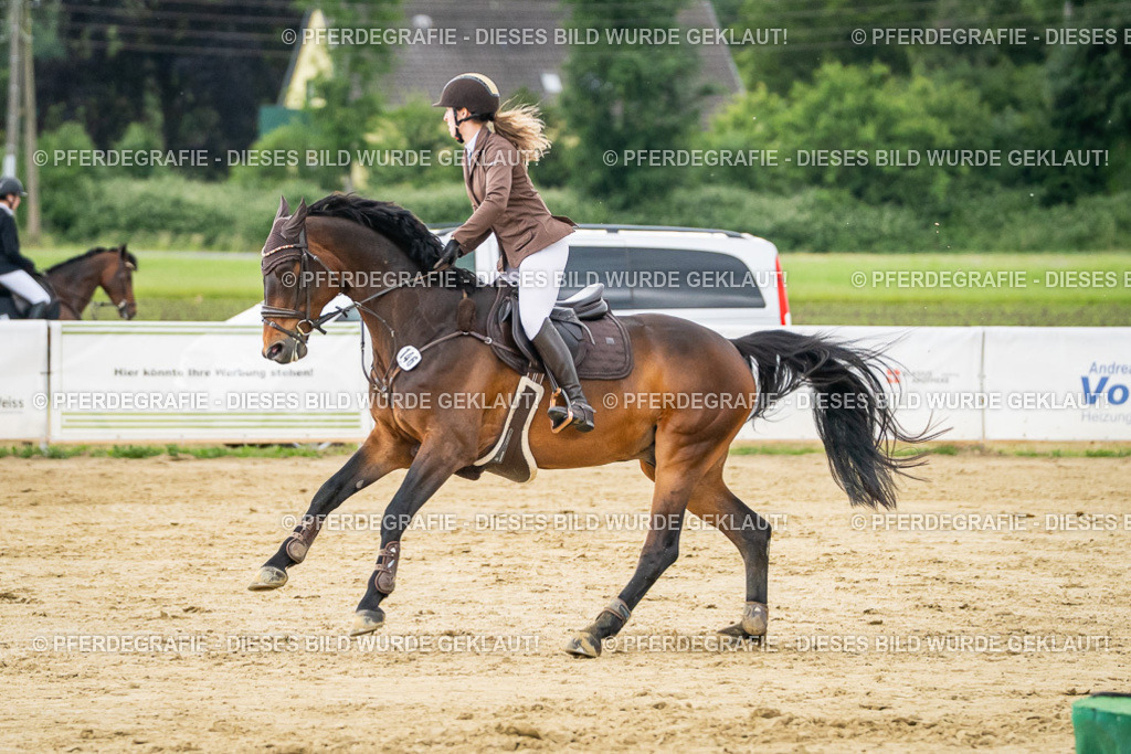 DSC06648 | Pferdegrafie