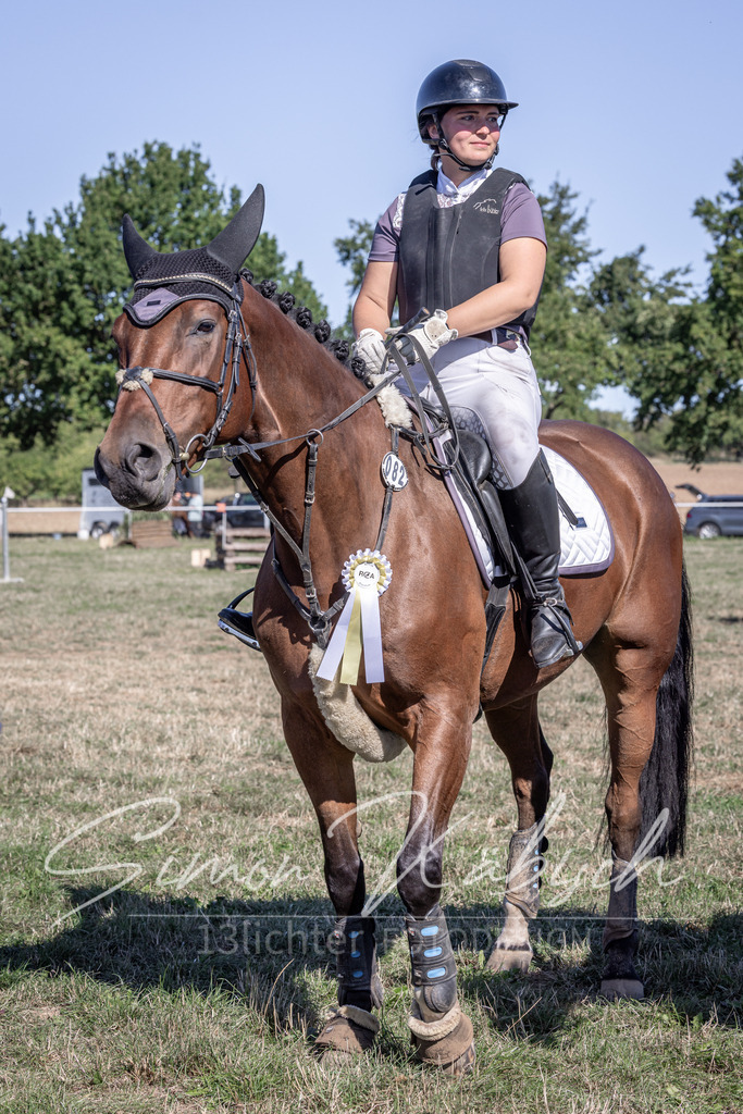 20260906-_3LI2662 | Tierfotografie Pferde, Hunde, Katzen, Haustiere.
Turnierfotografie Reitturniere, Reiten, Springreiten, Dressur in Hanau, dem Main-Kinzig-Kreis und dem Rhein-Main- Gebiet um Frankfurt