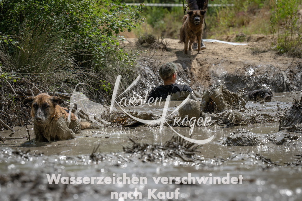 1437_ZZ93372 | kk-dogfotos